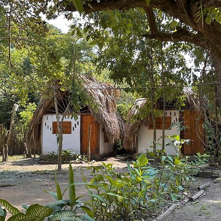 La Aldea Hostel, Camping Y Hamacas Паломино Екстериор снимка